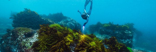 P_Restore Profile Banner