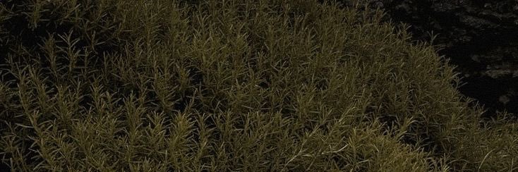 Xraghad00's profile banner image