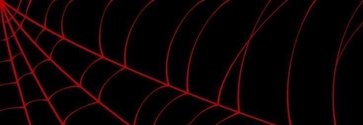 hayth_2's profile banner image