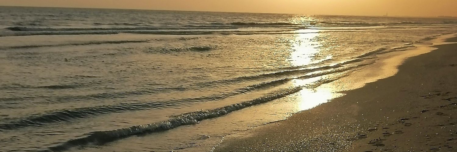 SandyLorena03's profile banner image