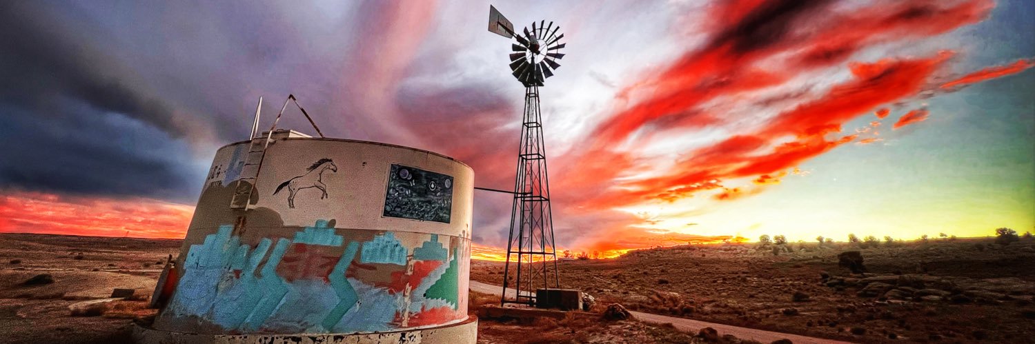 Chiara Sottile banner