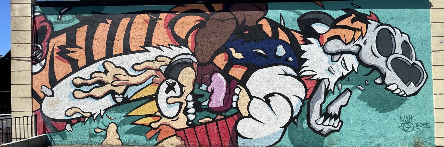 RayMarchan's profile banner image