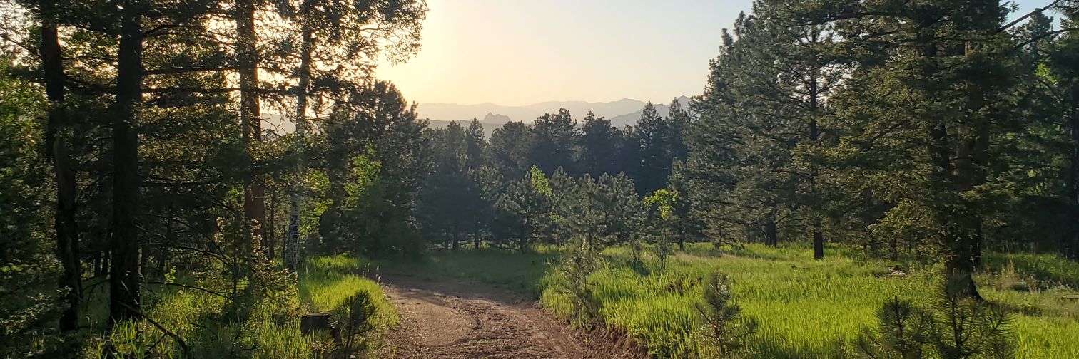 listen I'm trying 🏳️‍🌈🚀 banner