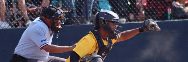 Ransesvenero4 Profile Banner