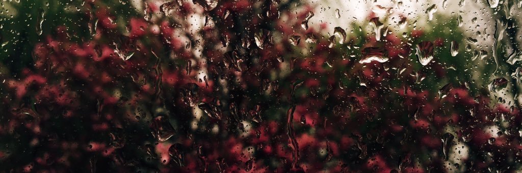HlotusAva's profile banner image