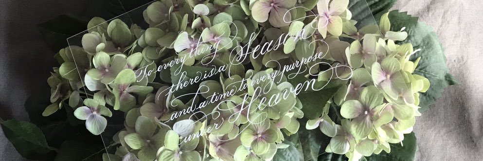 WonderfulMemory's profile banner image