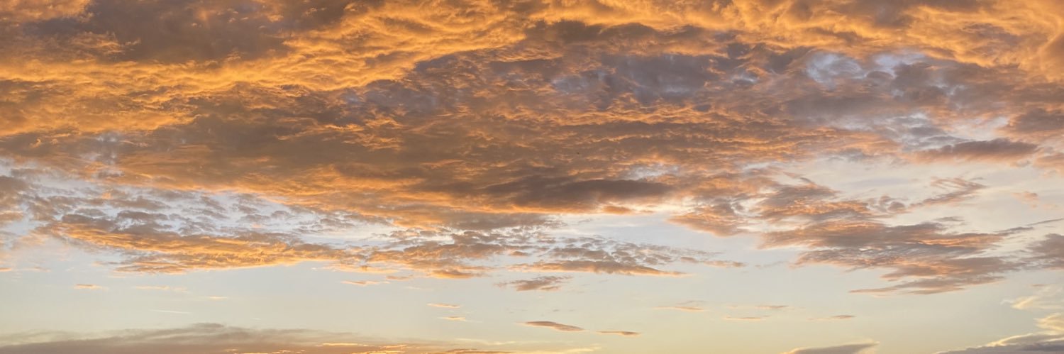 ferzinhasg's profile banner image