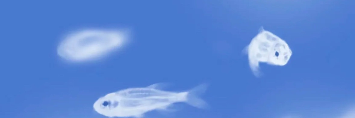 Each0177319's profile banner image