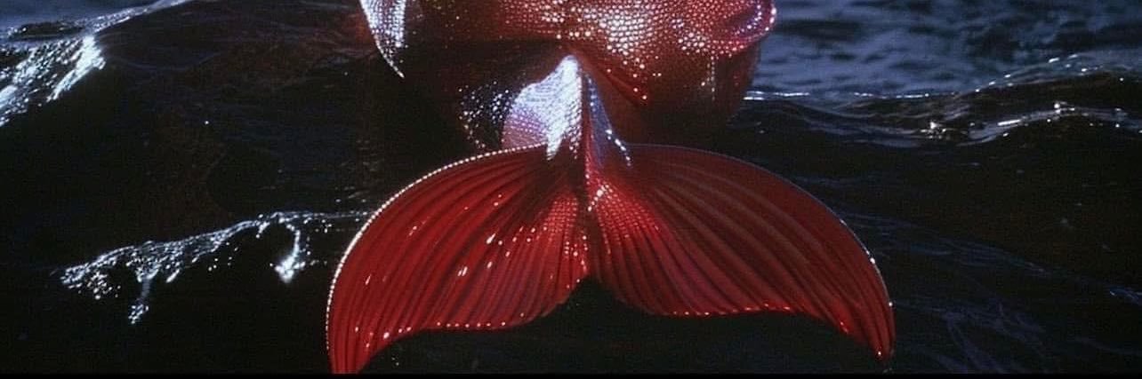 ᵠᵘᵉᵉⁿ 𝐈𝐜𝐨𝐧𝐢𝐜 𝐃𝐨𝐥𝐥𝐲 🦁 banner