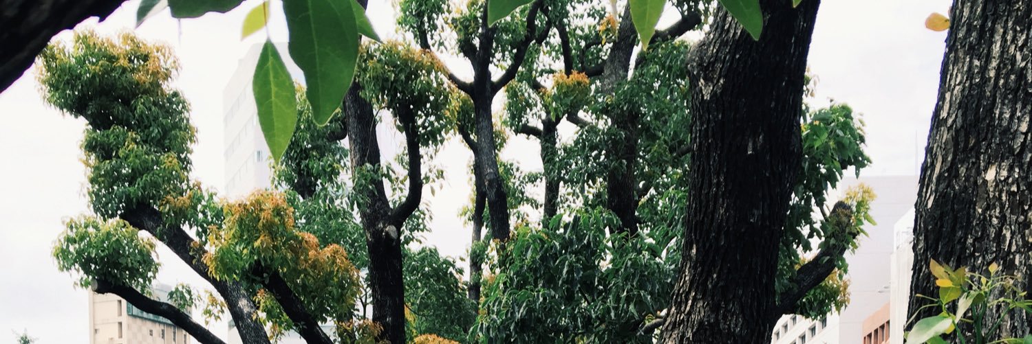 TakundaMatata's profile banner image