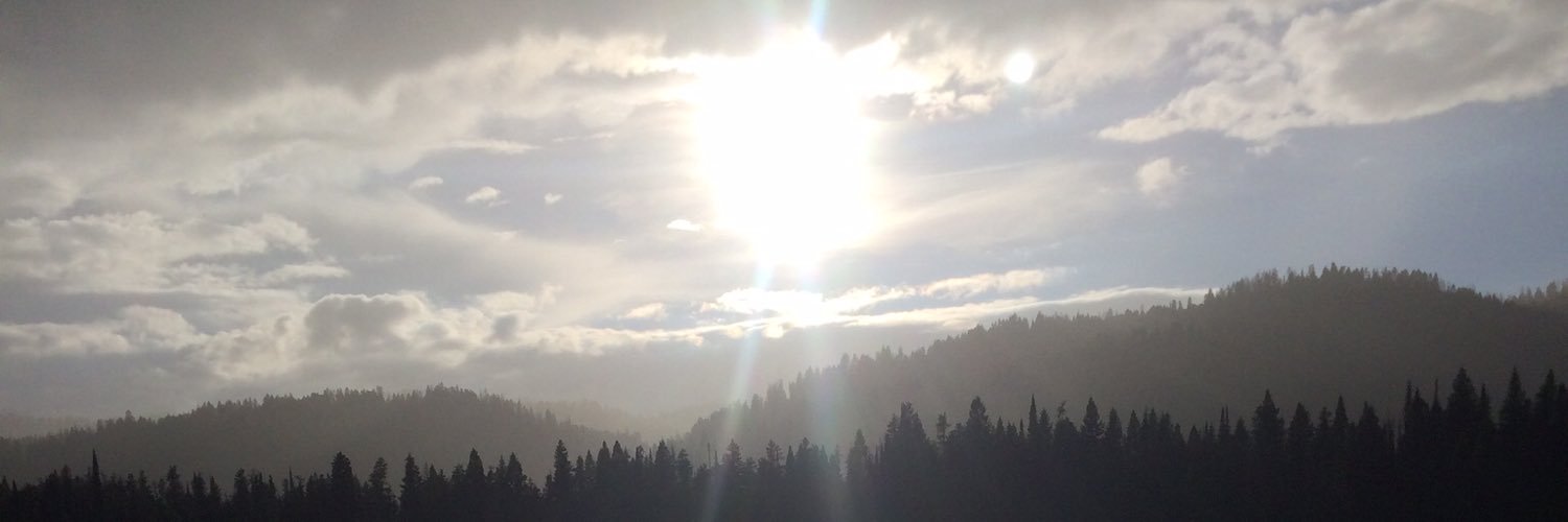 kodey_5's profile banner image