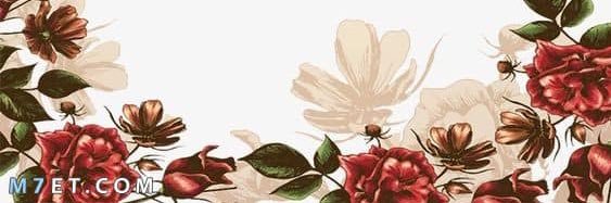 زهرة آل ظافر banner