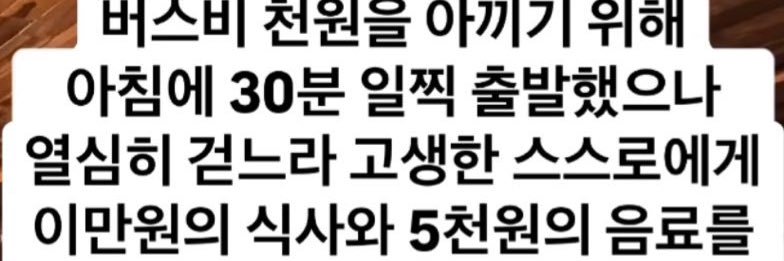 맘보룸바차차차 banner