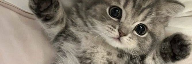 aprilhunterrs's profile banner image