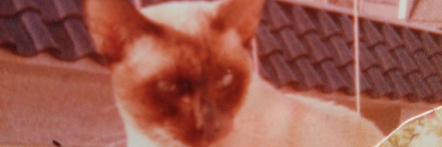 elvis2401's profile banner image