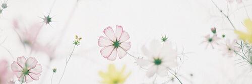 pinkeyxx's profile banner image