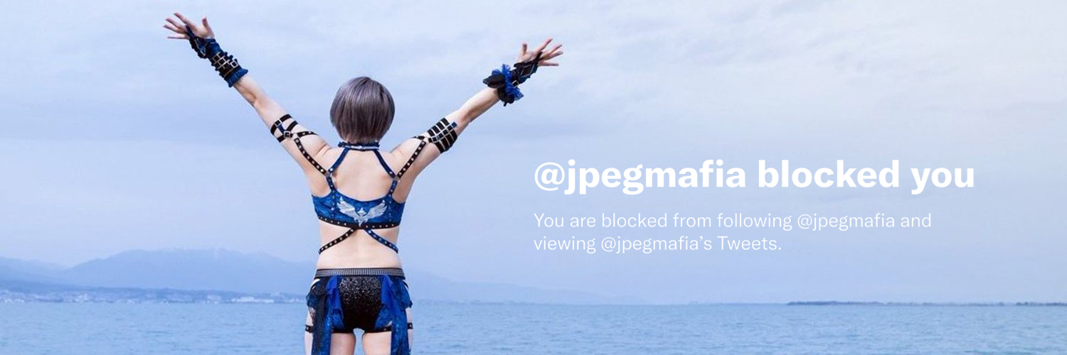 seba banner
