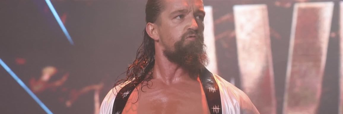 Embrace my influence. ∕ PARODY @FallonHenleyWWE. banner