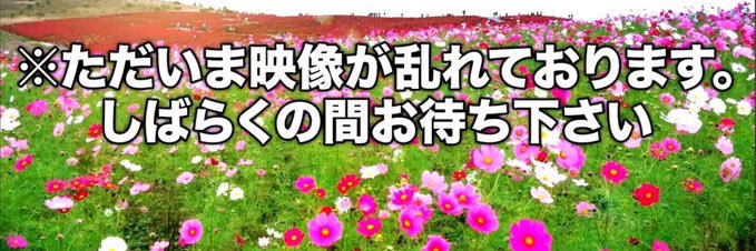 ABDLになってしまった男子高校生 banner