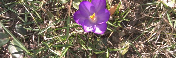 SherryFitz1 Profile Banner