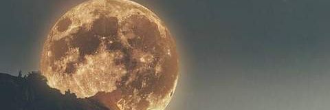 Martin Moreira banner