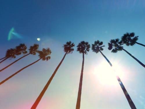 jully_cox's profile banner image