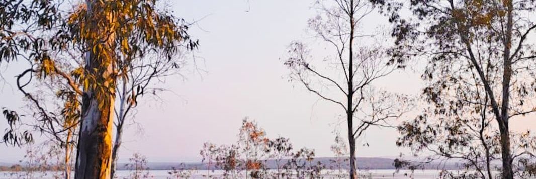 bhamsaajida's profile banner image