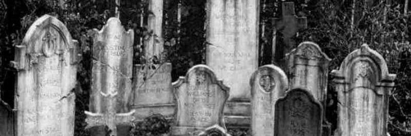 𖤐Jul𖤐's banner