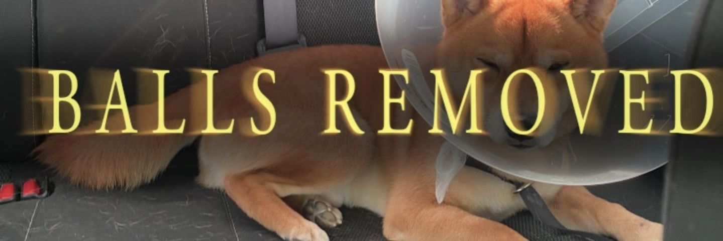 Drazi (Mint Flavored Pole💚🍆) 🔜 FTM banner