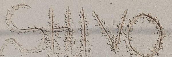 SteveAusti2 Profile Banner