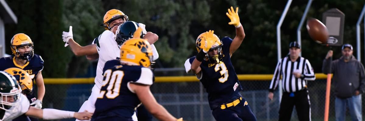 Kalgary Fegan banner