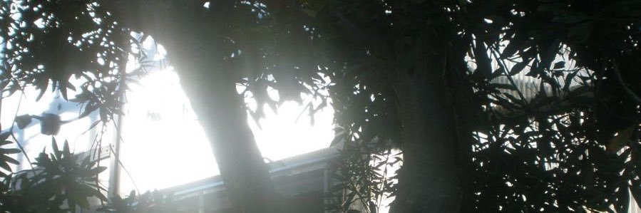 imdohee090904's profile banner image