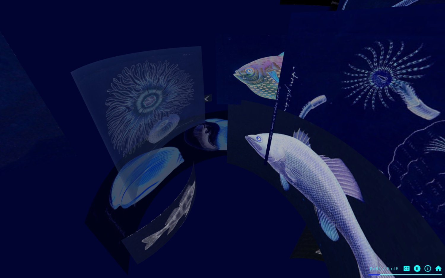 jduffinwolfe's profile banner image