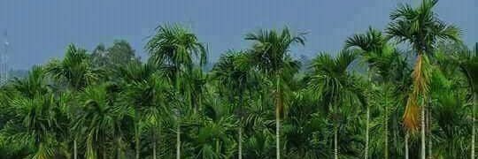Arun_Kevula's profile banner image