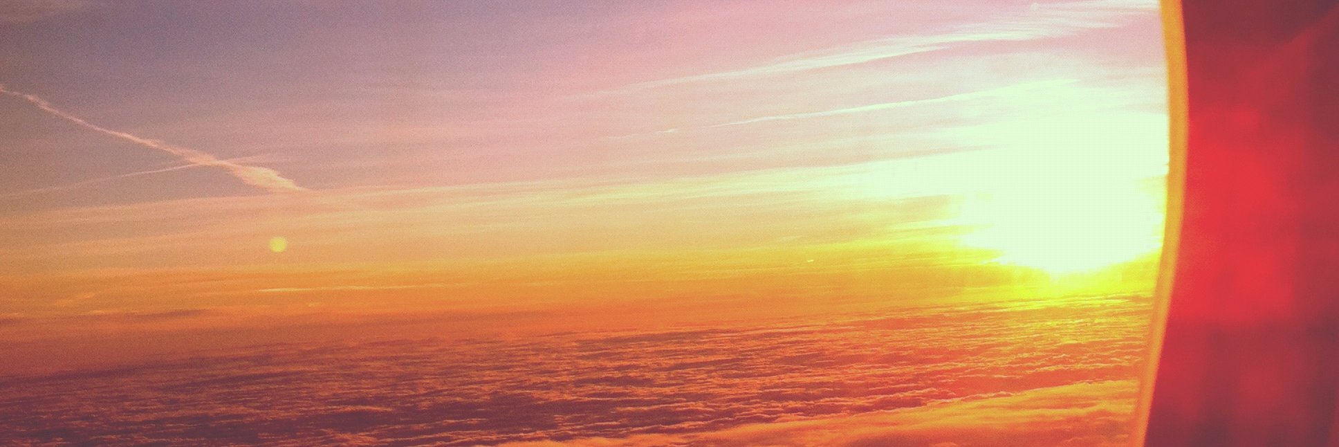 Arestia Rosenberg banner