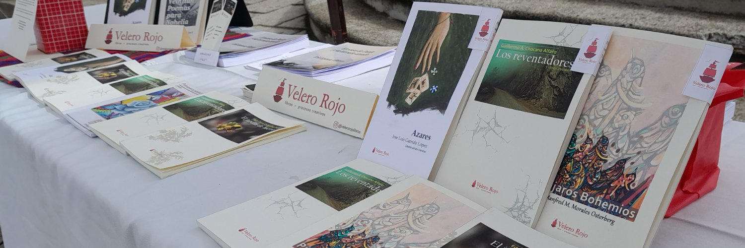 VRLibros's profile banner image