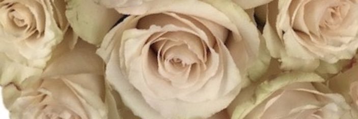 ASassy9's profile banner image
