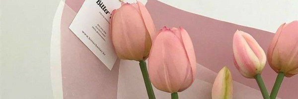 aynetth Profile Banner