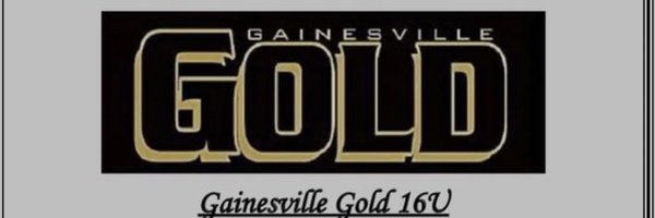 gvillegold Profile Banner