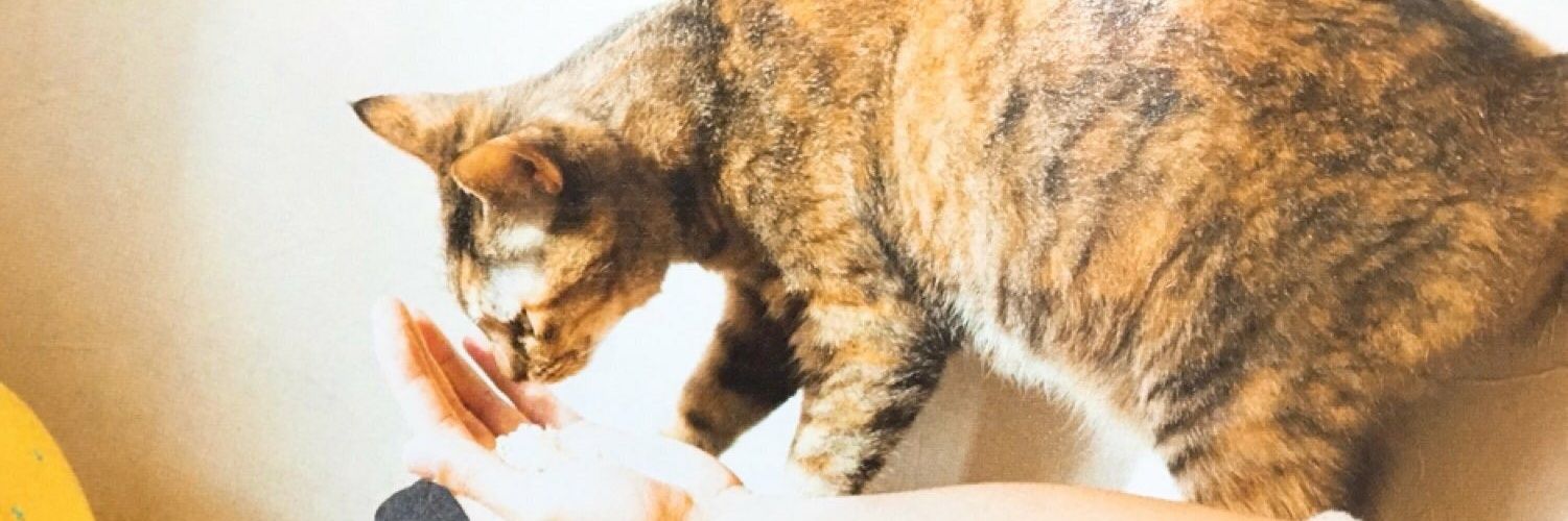 hmikanb's profile banner image