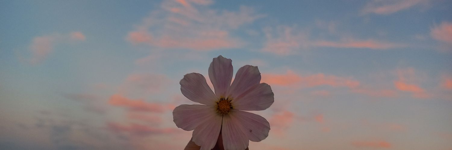 Patrycja2159's profile banner image