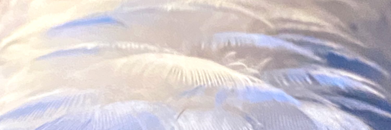 iro_bird's profile banner image