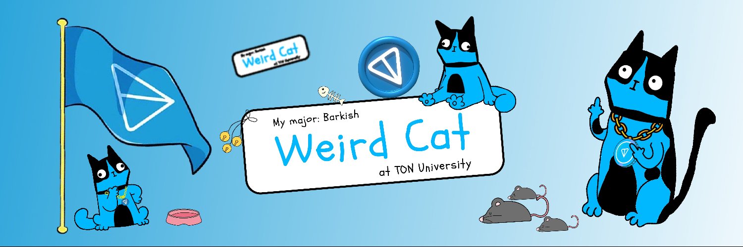 Weird Cat banner