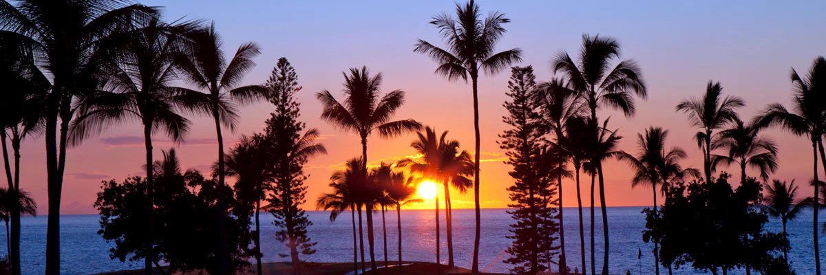⛱🌴Paula Rachel 🌴⛱'s banner