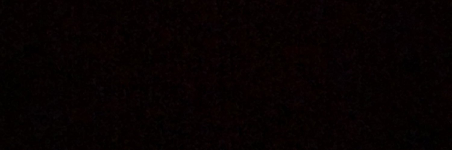 LA 49er fan banner