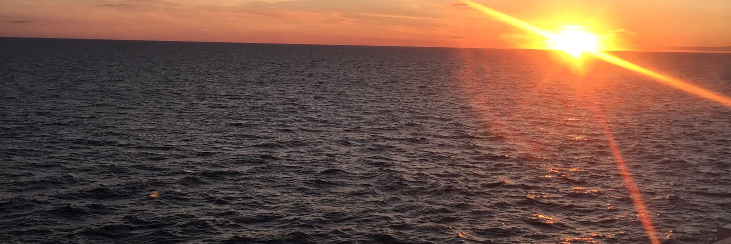 gabbyshammas's profile banner image