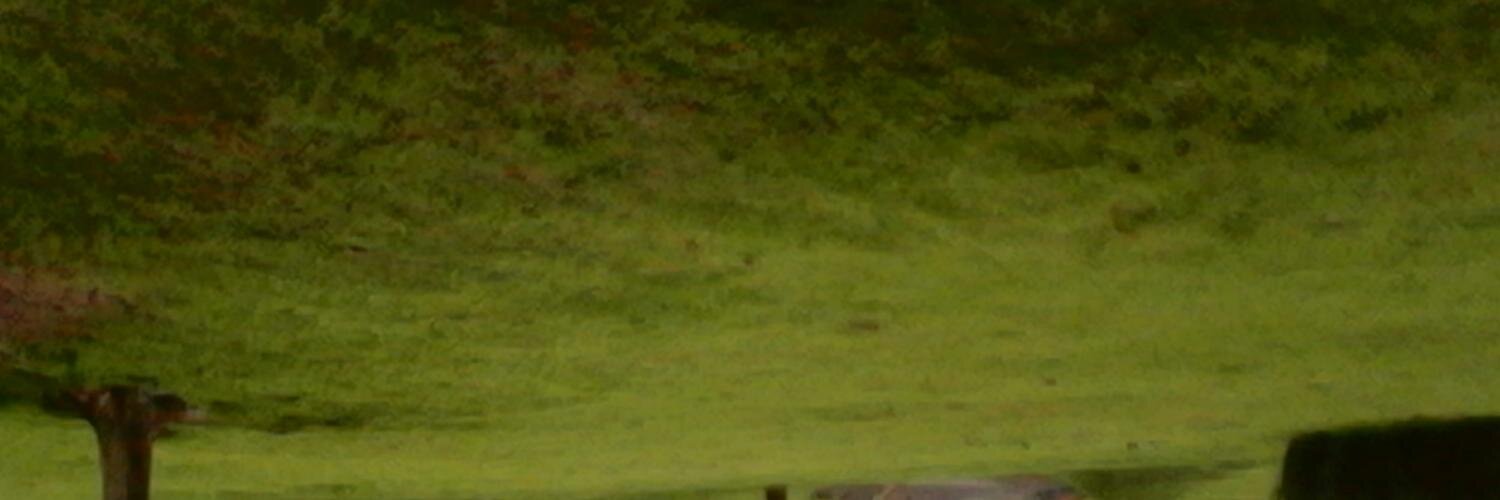 metaglossia's profile banner image