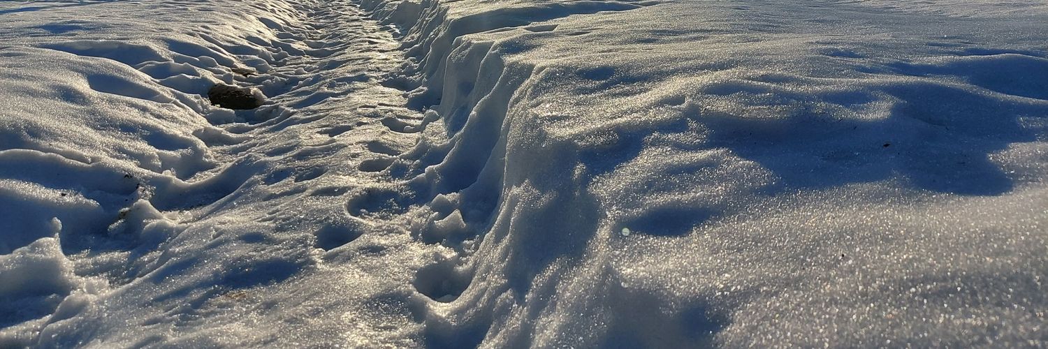 andyvrub's profile banner image