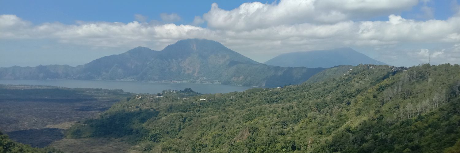 pipirapii's profile banner image