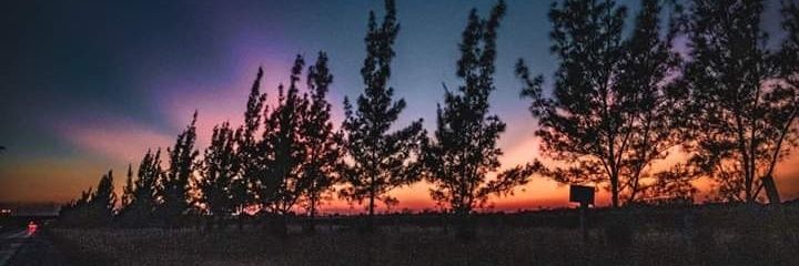 mapo22's profile banner image